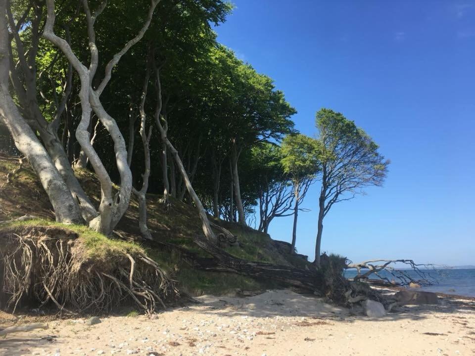 Aebelo-Guidens B&B ボーゲンセ エクステリア 写真